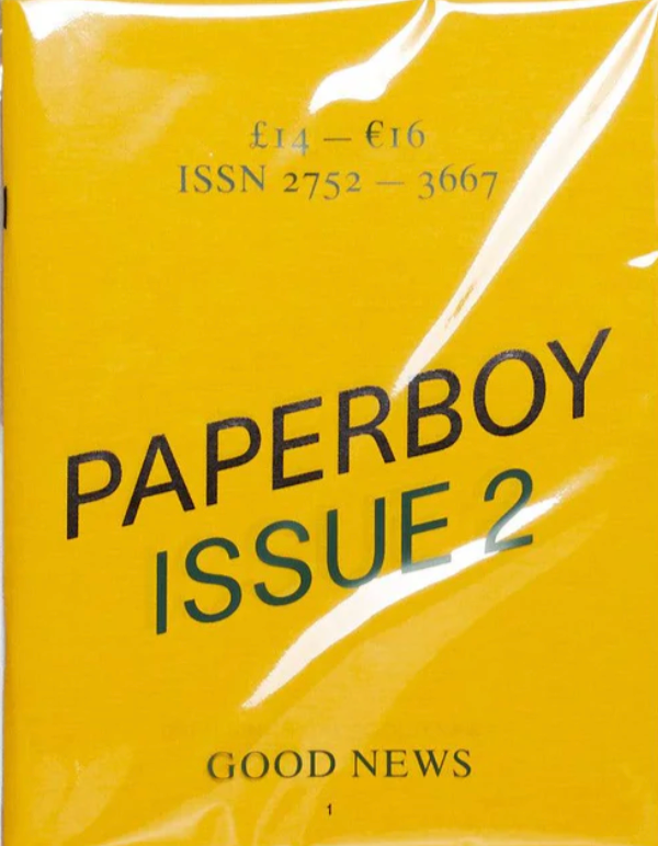 Paperboy #2