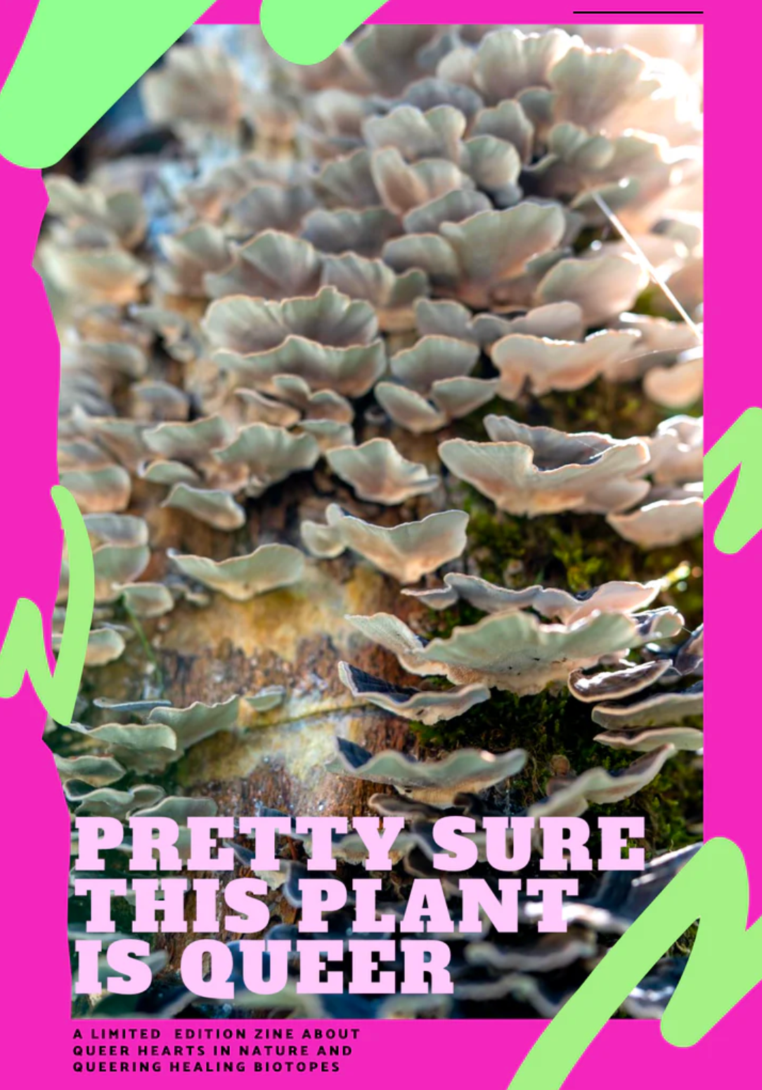 Pretty sure this plant is queer