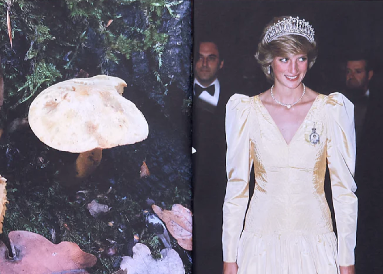 Princess Diana as Mushrooms