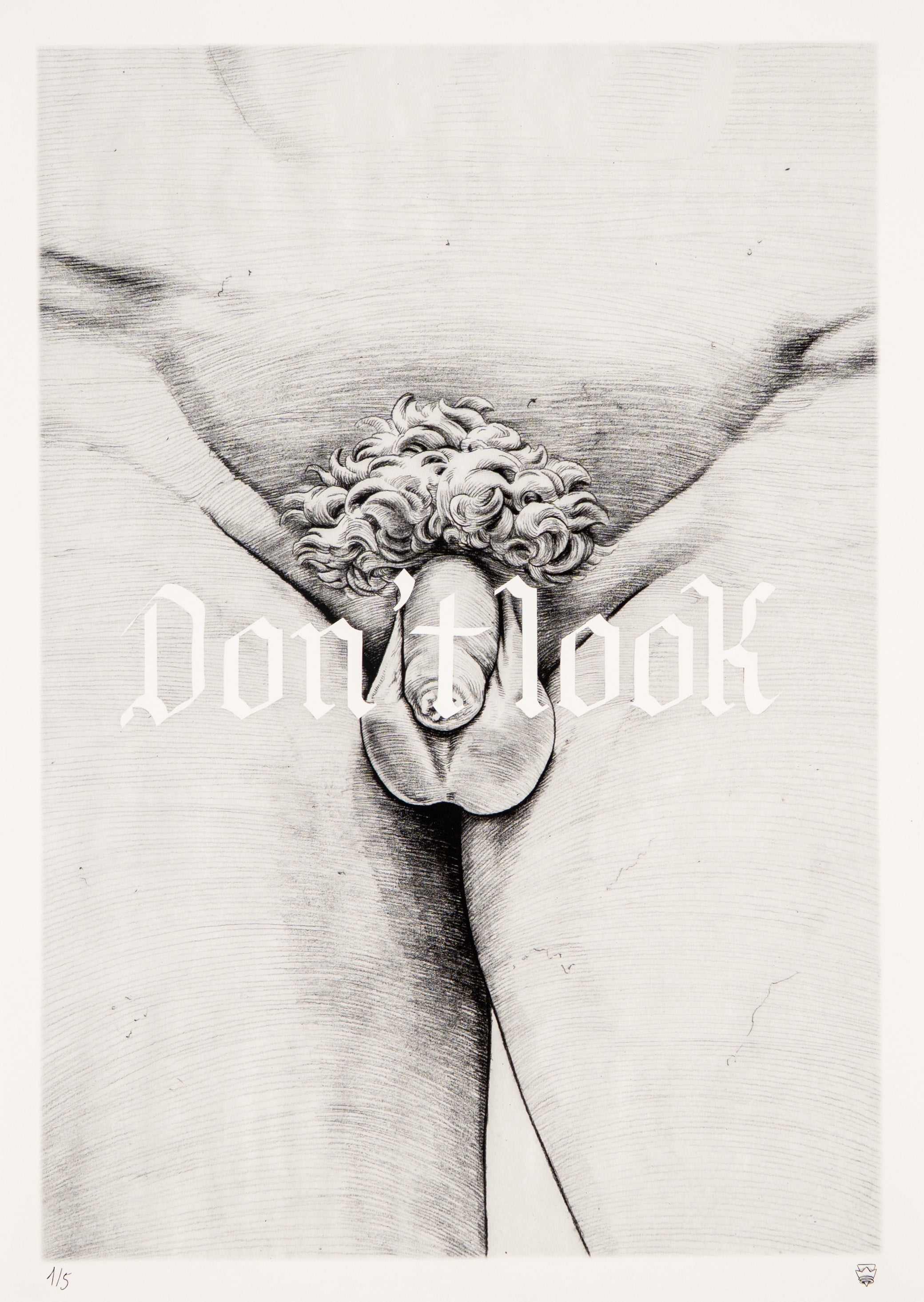 (Limited edition print)