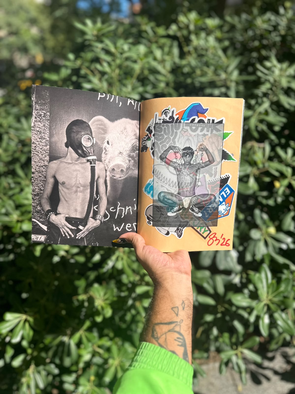 Flip Flop (signed copy)