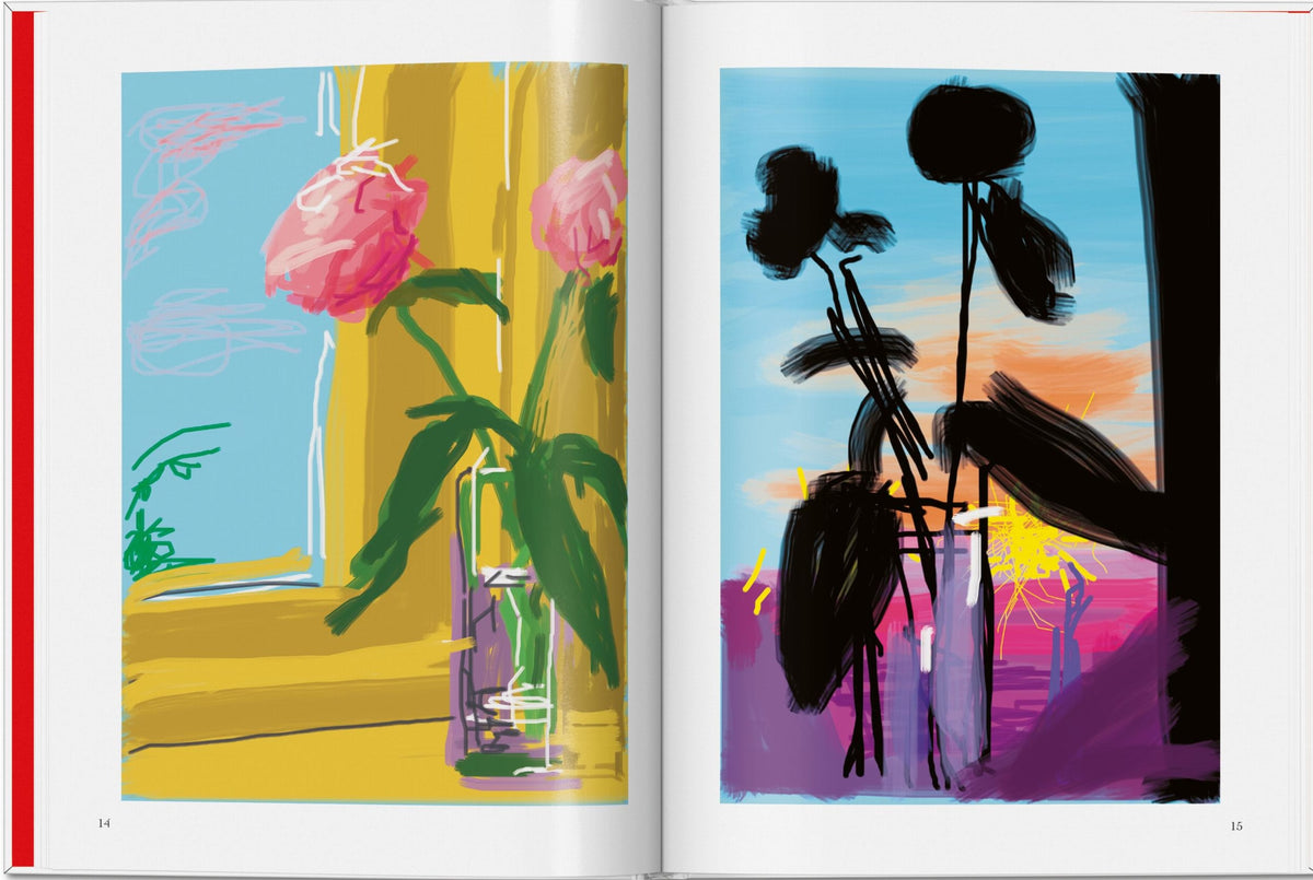 David Hockney. My Window