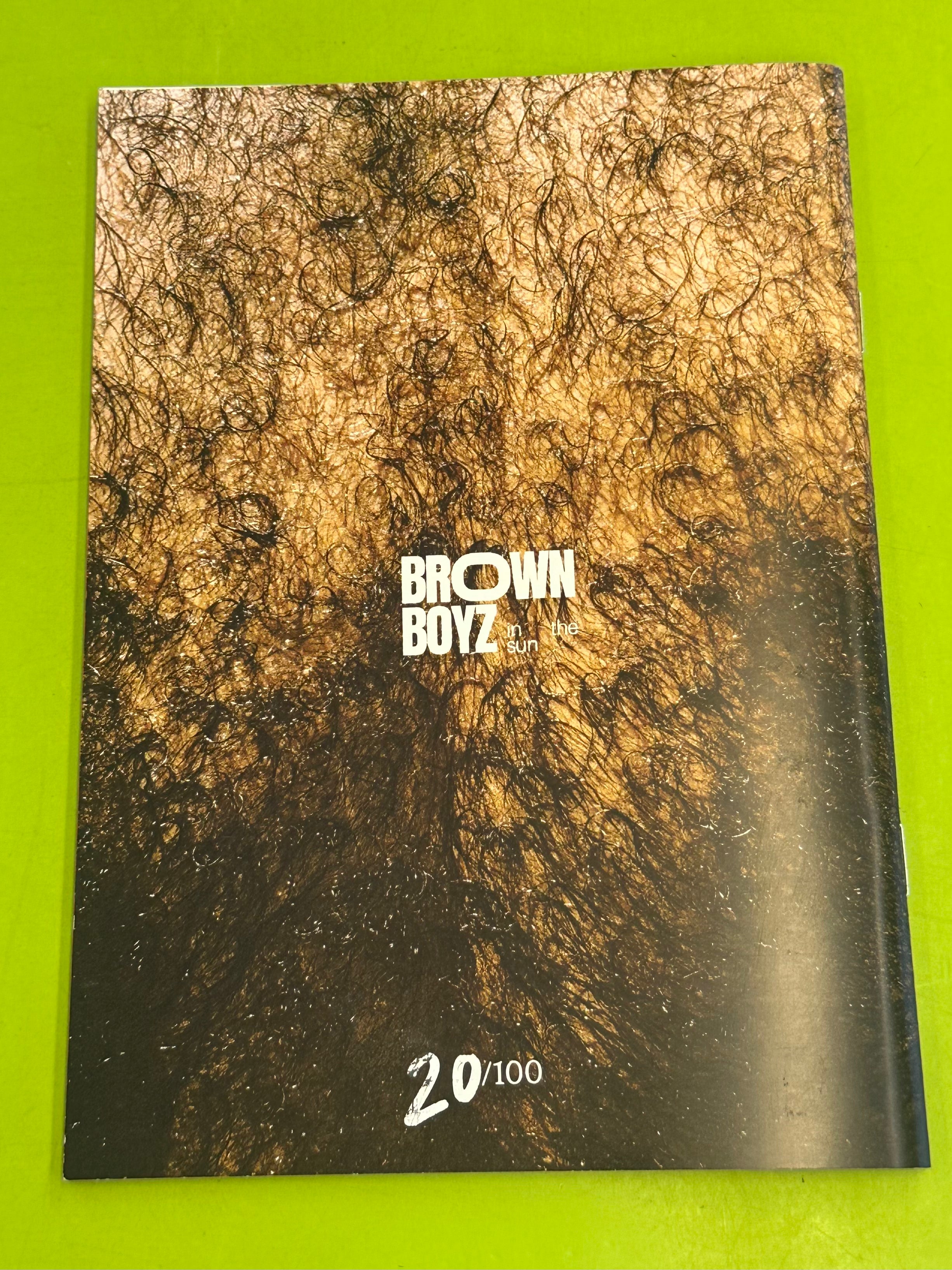 Brown Boyz in the Sun, Issue #2