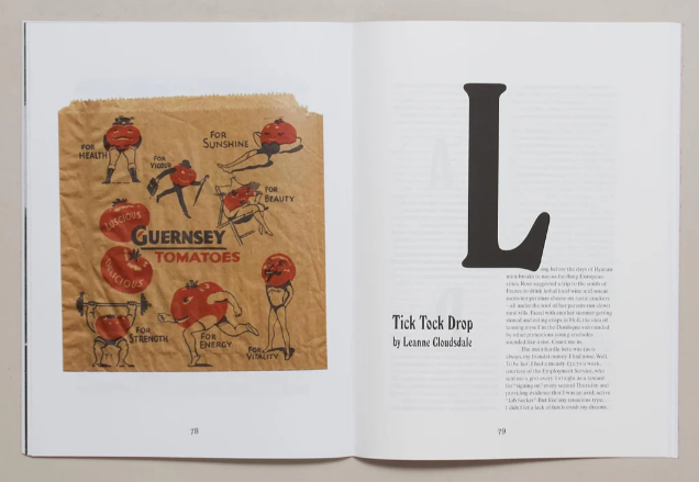 Paperboy #4