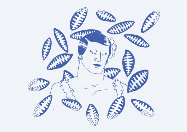Pepina (print)