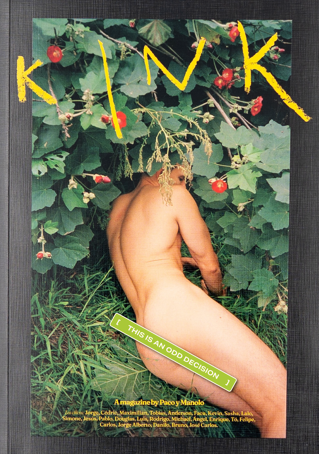 Kink #42