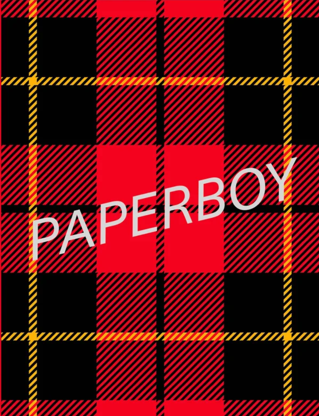 Paperboy #8