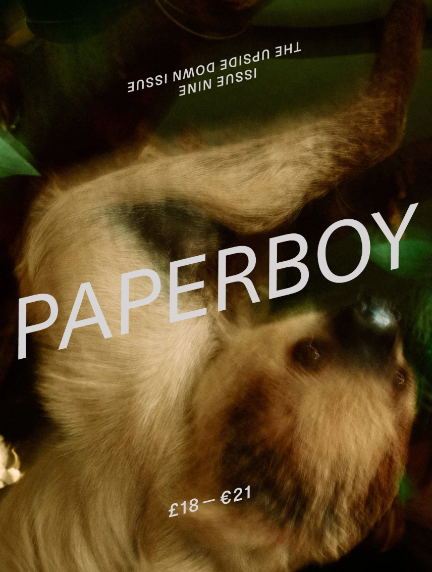 Paperboy #9