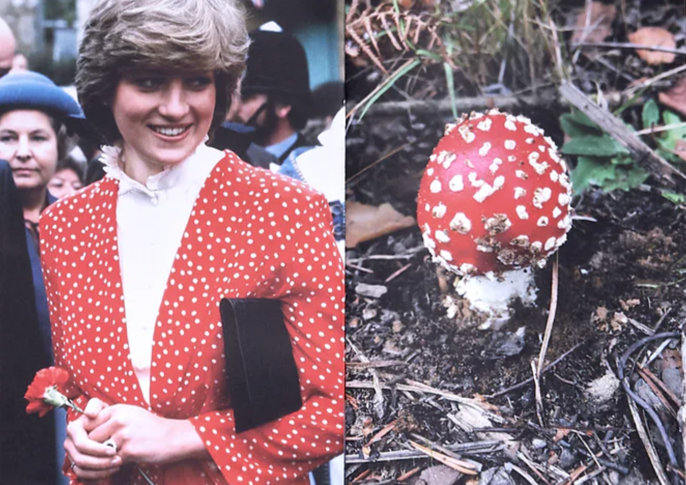 Princess Diana as Mushrooms
