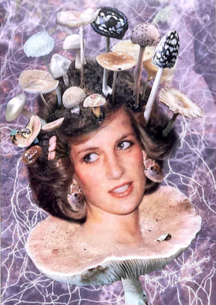 Princess Diana as Mushrooms Vol.II