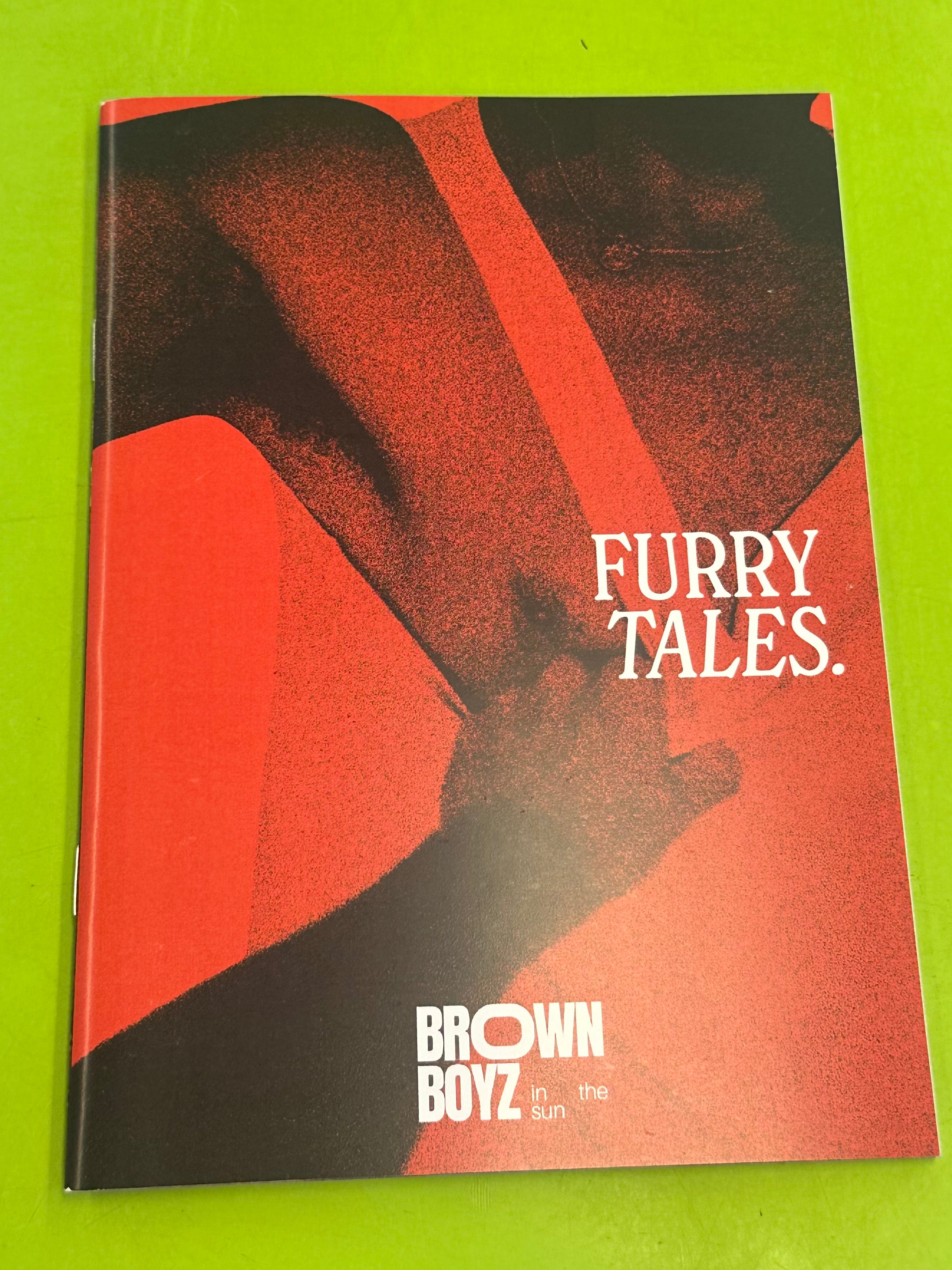 Brown Boyz in the Sun, Issue #2
